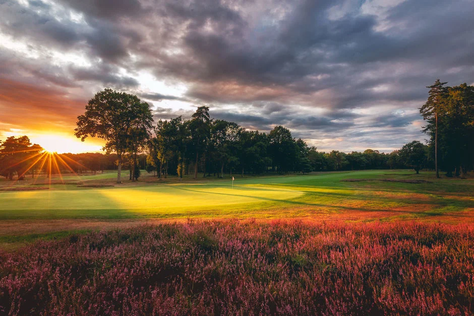Surrey Golf