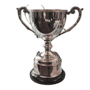 2-trophy-300x300.png