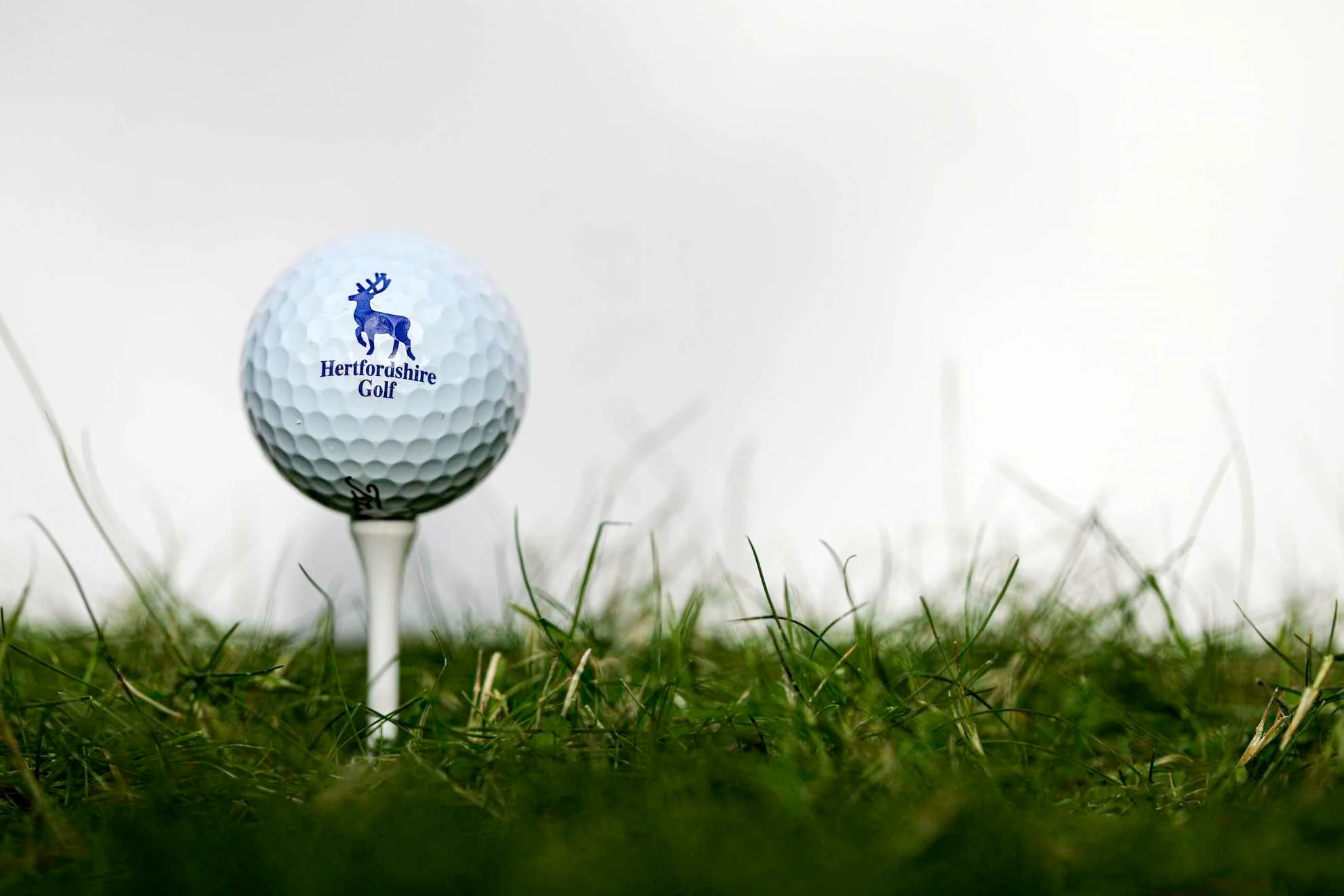 Follow the scores from the County Mens Under 35s Championship here