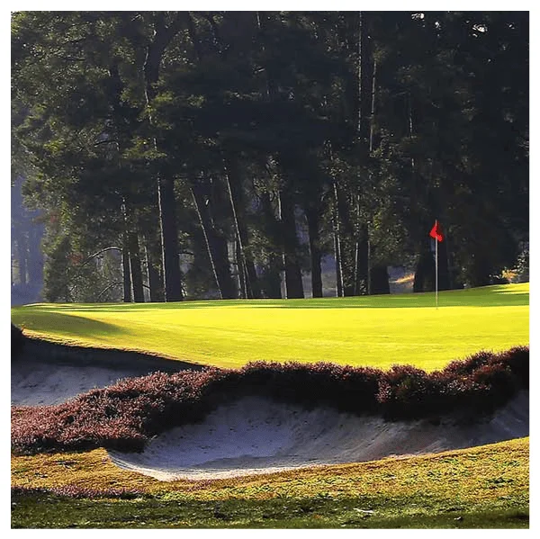 West Essex golf
