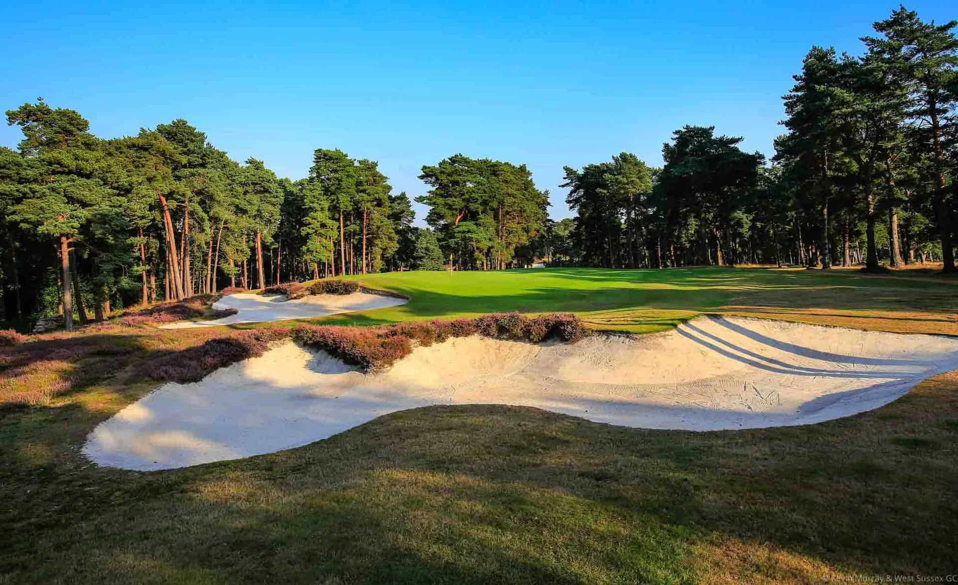 Sussex Golf